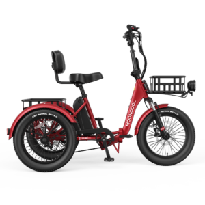 Mooncool TK Pro Electric Trike