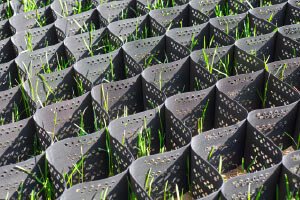 Diploma in Soil and Water Conservation Engineering