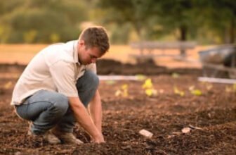 Soil science course