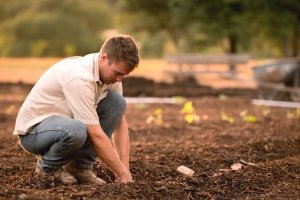 Soil science course