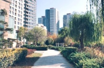 Urban Gardening for Beginners
