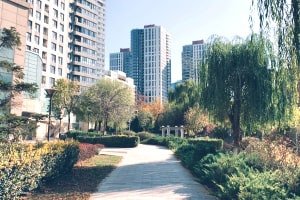 Urban Gardening for Beginners