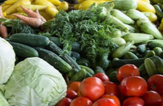 Introduction to Food and Nutrition