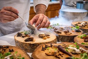 Introduction to Cooking and Gastronomy