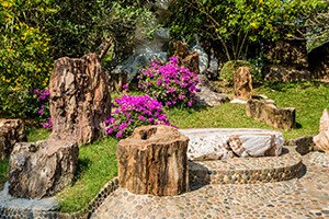 Garden design course
