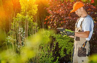 Plant science course