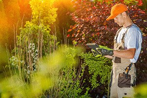 Plant science course