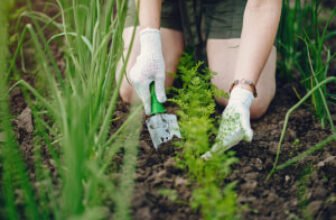 Horticulture course