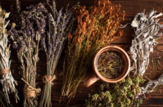 Basics of Herbalism