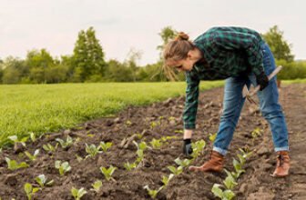 Soil improvement course