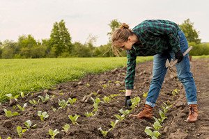 Soil improvement course