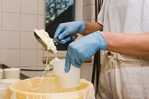 Cheese Making for Beginners