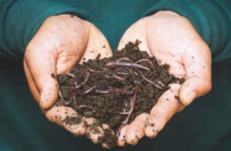 Worm farming course