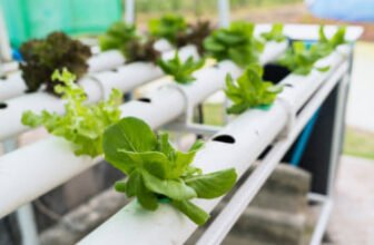 Home hydroponics course