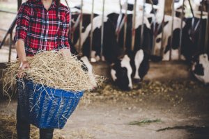 Animal nutrition course