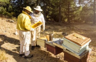 Beekeeping course