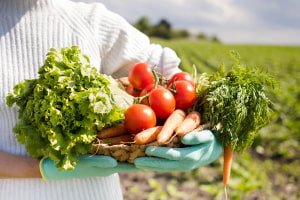 Sustainable Food Production and Processing