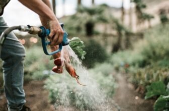 Best Crops to Grow for Long Term Food Storage