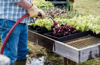 Survival Garden for Beginners: First Season Plan