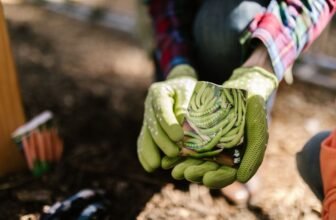 How Long Do Garden Seeds Last in Storage? Simple Viability Test