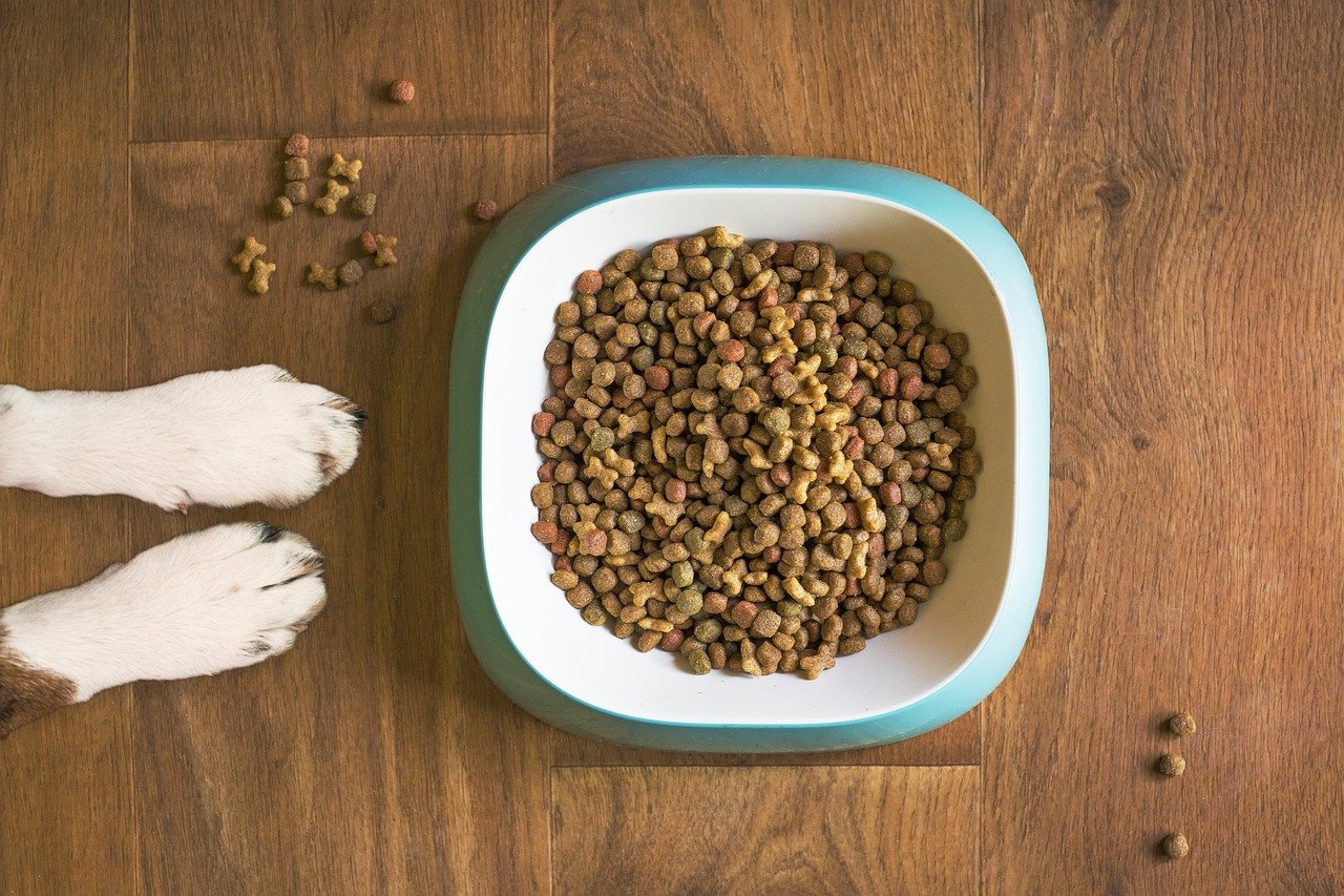 How Much Dog Food to Pack for a 3-Day Evacuation