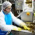 Introduction to Cooking and Gastronomy: A Free Course in the Science of Good Food
