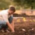 Free Herb Gardening Course
