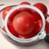 Culinary Skills and Techniques: A Free Course to Cook Like You Mean It