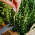 Free Soil Science Course