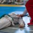 Free CPR and AED Course
