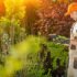 Free Soil Science Course