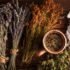 Free Aromatherapy Course