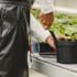 Urban Gardening for Beginners: A Free Course to Grow Food in Any Space