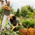 Advanced Soil Science Diploma