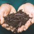 Free Homesteading Course