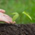 Introduction to Mushroom Farming: A Free Course to Grow Food in the Dark