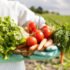 Advanced Diploma in Food Processing and Shelf Life Extension: A Free Course on Making Food Last