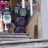 Which Pet Records Do Evacuation Shelters Ask to See?